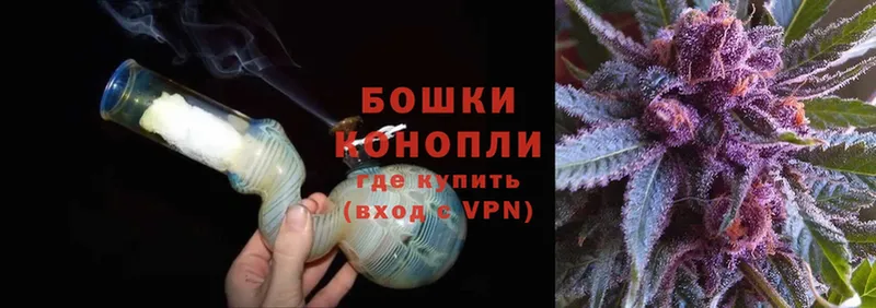 МАРИХУАНА SATIVA & INDICA  купить наркотики сайты  Сольцы 